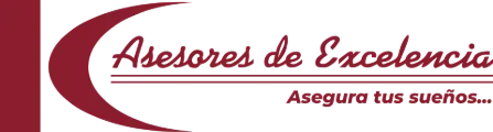 Asesores de Excelencia